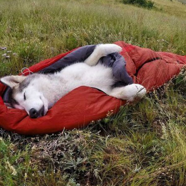 要不要在一起,露营一次再决定 路路行手把手教