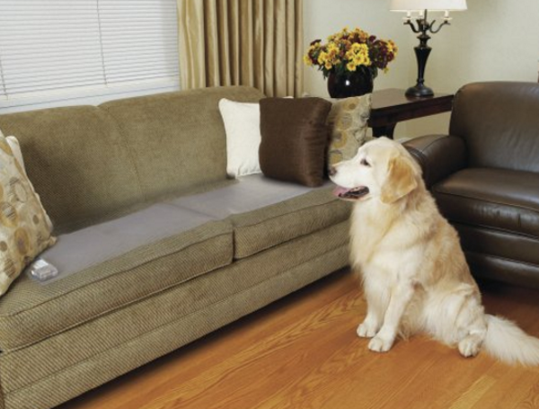 宠你一生 伴我一路 Amazon 宠物用品热销集