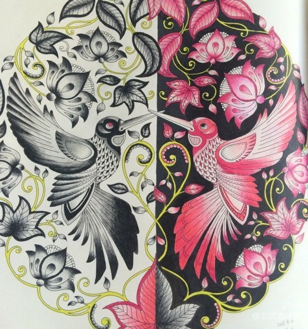 北美省钱快报 - 北美晒货君 一千个绘者,就有一