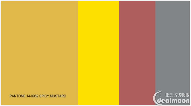 spicy mustard/芥末黄