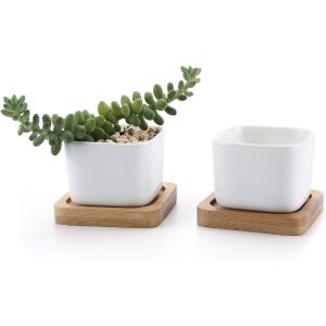 T4U 2 Pack Succulent Pots, Small Ceramic Plant Pots, Succulent Planter Pot with Tray, White Flower pots Cactus, Small Planters for Indoor Plants for Home Decor, Christmas and Birthday Gift : Amazon.ca