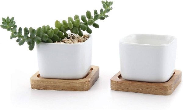 T4U 2 Pack Succulent Pots, Small Ceramic Plant Pots, Succulent Planter Pot with Tray, White Flower pots Cactus, Small Planters for Indoor Plants for Home Decor, Christmas and Birthday Gift : Amazon.ca