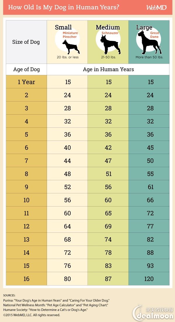 狗狗年龄和人类年龄对照表
