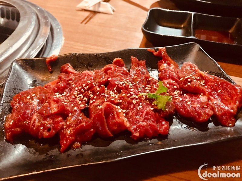 harami skirt steak