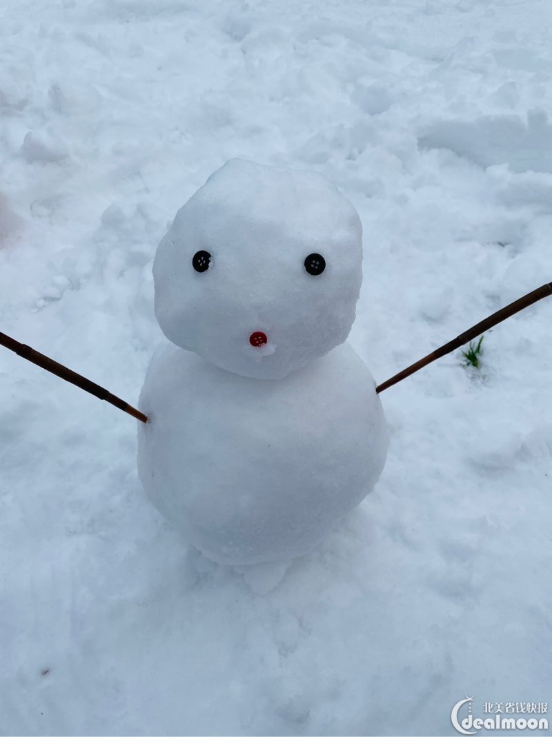 冬天户外运动体验一起堆雪人