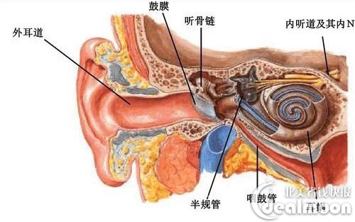 儿童先天性耳前瘘管感染摘除手术