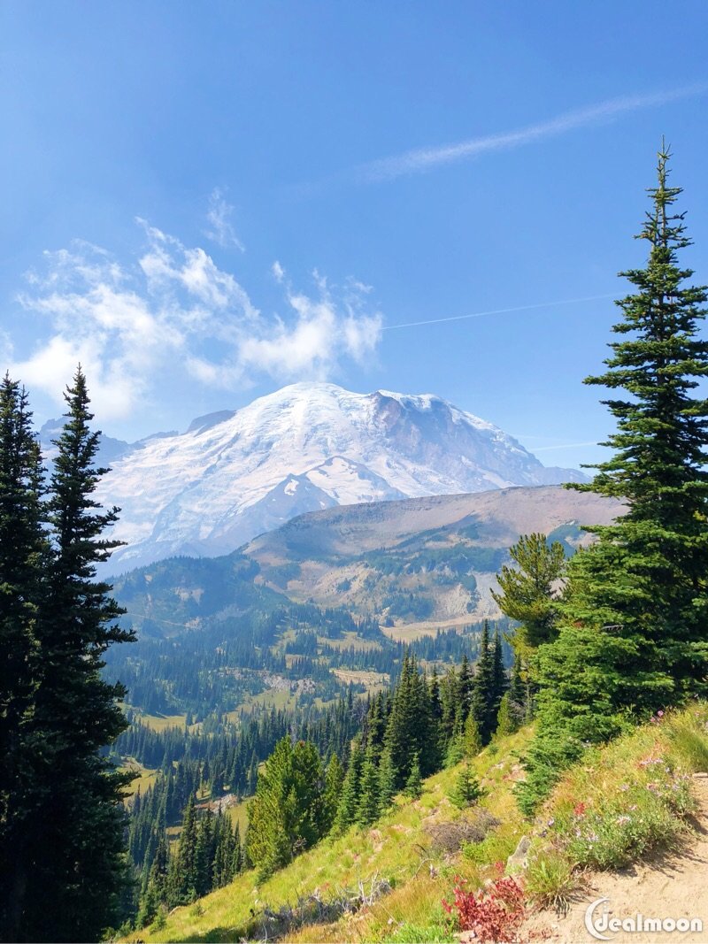 east coast meets pacific northwest ͼ()