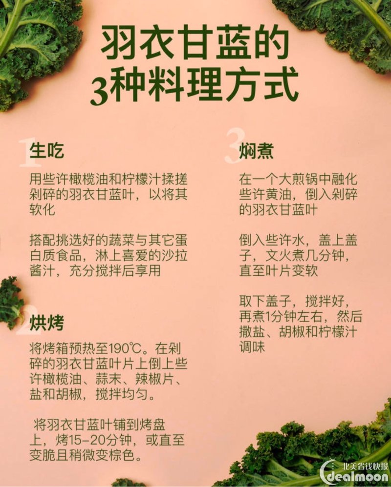 《羽衣甘蓝》营养冠军蔬菜/高纤维食蔬菜