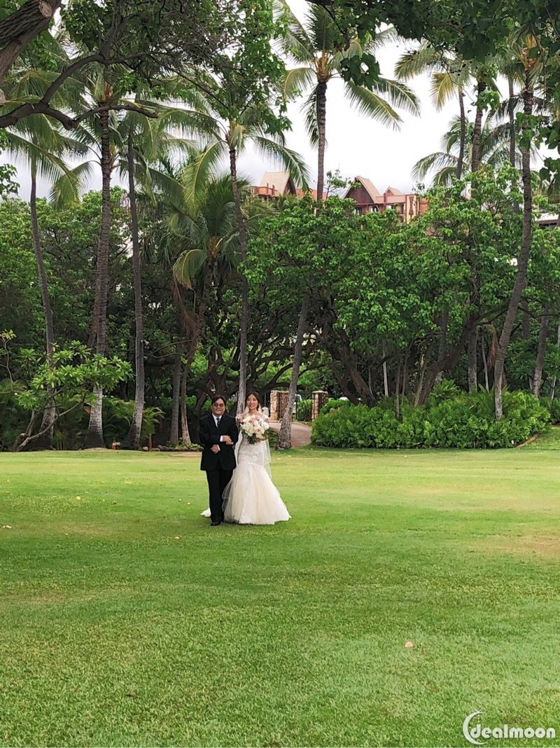 夏威夷攻略超长干货/婚礼part1中国版v攻略青蛙稀有明信片攻略图片