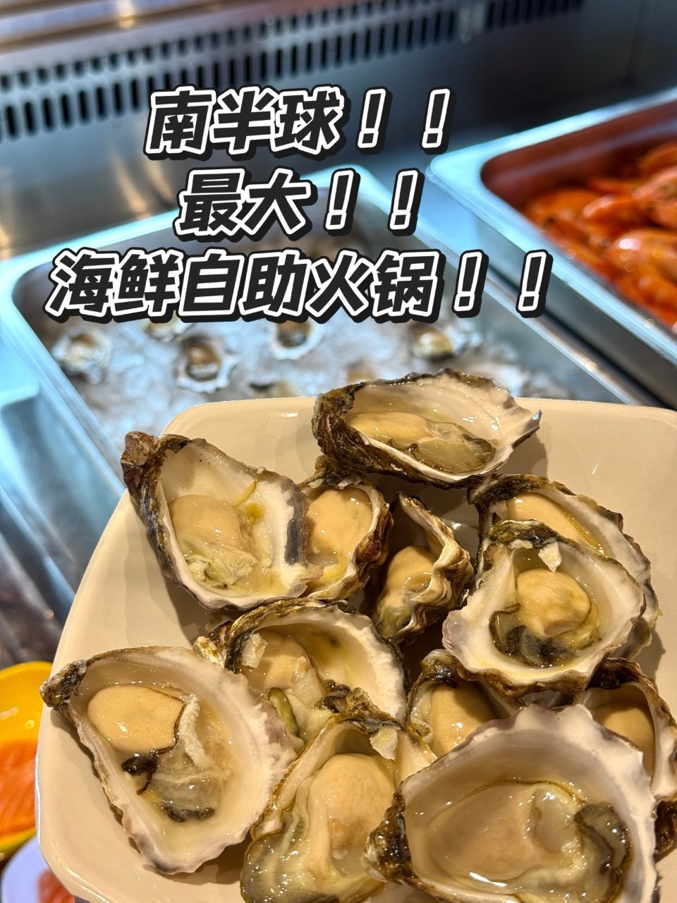 在悉尼实现海鲜自由｜超划算海鲜火锅自助‼...
