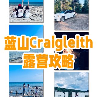 🌲蓝山附近Craigleith Prov...