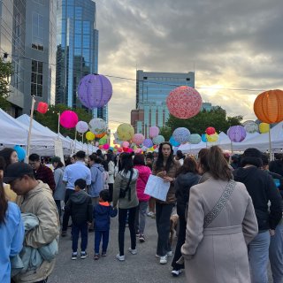 卡尔加里唐人街 Lantern Fest...