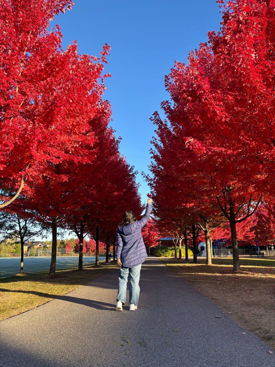 我也來打卡😜因為任賢齊這個公園火了...