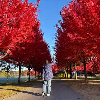 我也來打卡😜因為任賢齊這個公園火了...