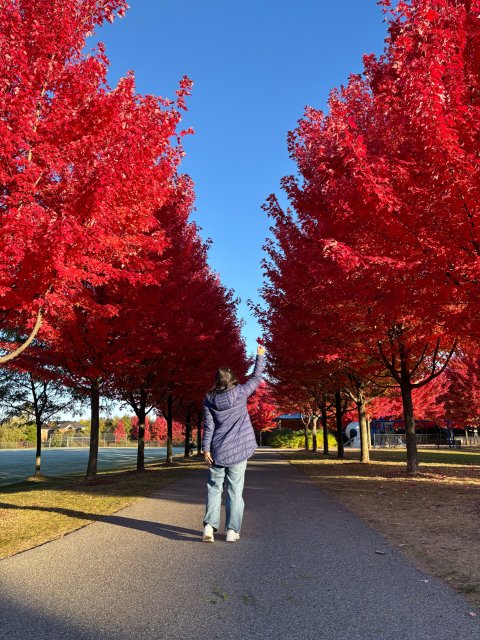 我也來打卡😜因為任賢齊這個公園火了