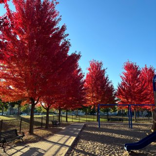 我也來打卡😜因為任賢齊這個公園火了...