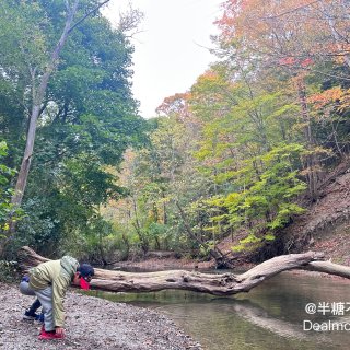 Sunnybrook Park秋季赏枫攻...