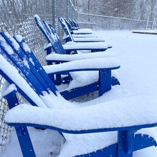 东北人跑到Blue Mountain踩雪...