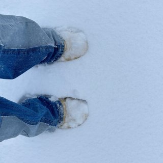 东北人跑到Blue Mountain踩雪...