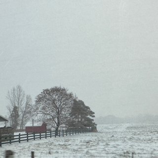 东北人跑到Blue Mountain踩雪...