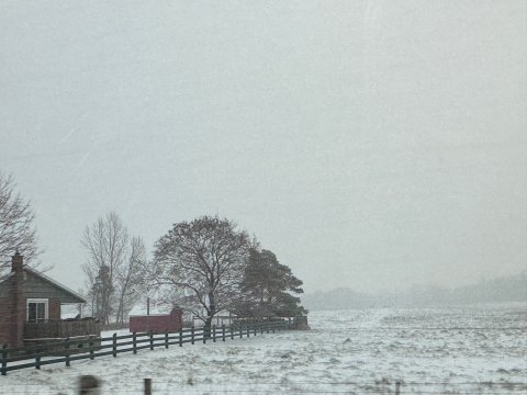 东北人跑到Blue Mountain踩雪，差点回不了家😂❄️