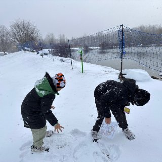 东北人跑到Blue Mountain踩雪...