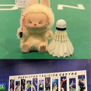 E badminton羽毛俱乐部🏸️限时...