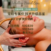 尊享头养 | Yardley Head Spa