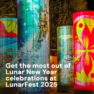 Lunar Fest免费🆓新年活动❗️饺...