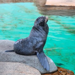 水族馆🐠儿童票免费🆓！会员免费带1⃣️个...