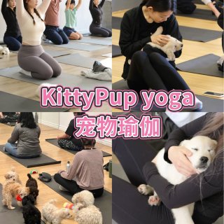 抢❗️🐶🧘‍♀️宠物瑜伽本周六是萨摩耶！...