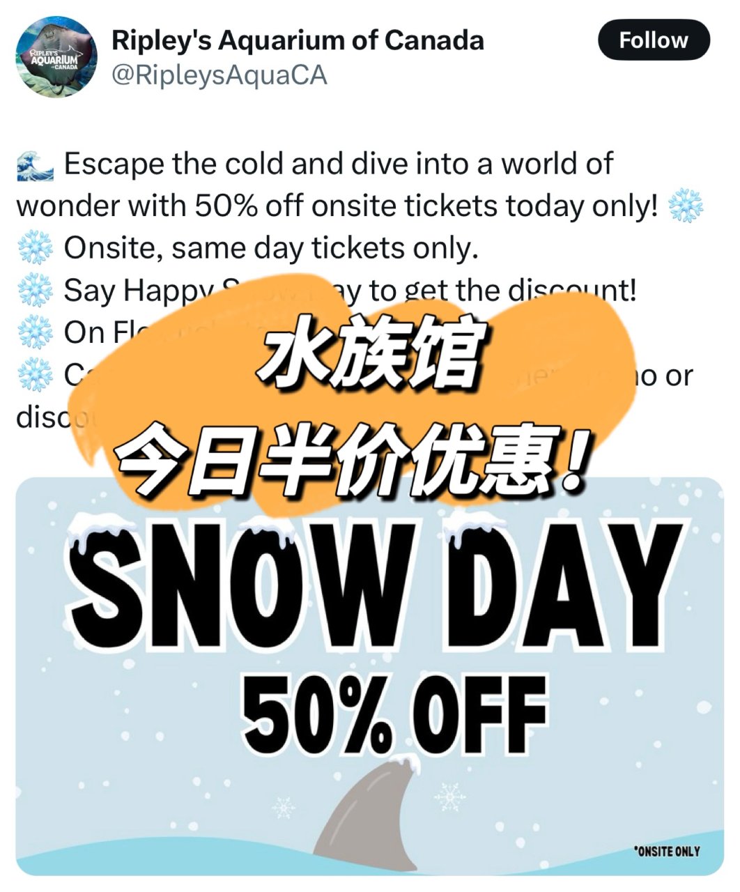 仅限今天！水族馆门票半价💰! 立省$30...