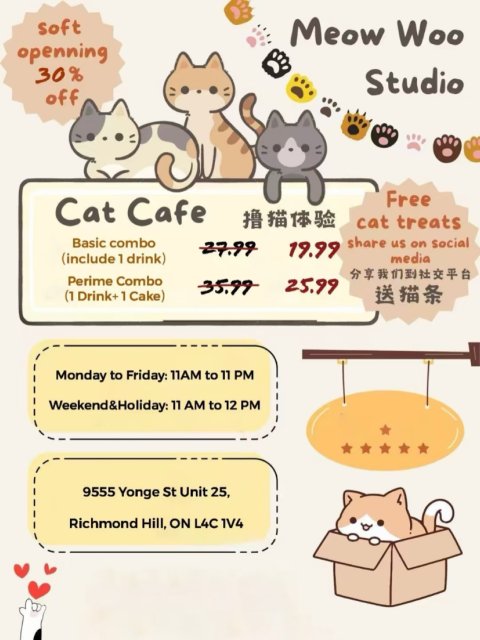 MeowWooStudio猫咖🐈撸猫单人套餐19.99🔪