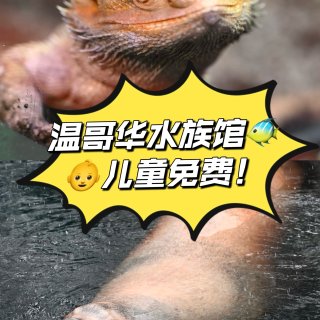 温哥华水族馆🐠儿童免费！活动2/17结束...