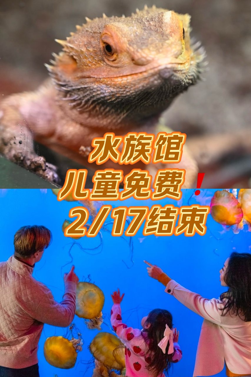 水族馆🐠儿童票免费🆓！会员免费带1⃣️个...