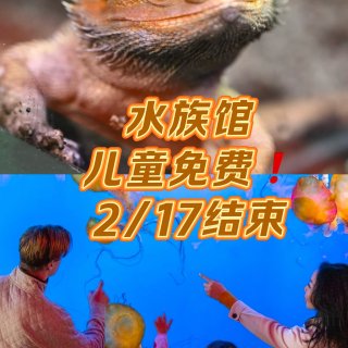 水族馆🐠儿童票免费🆓！会员免费带1⃣️个...