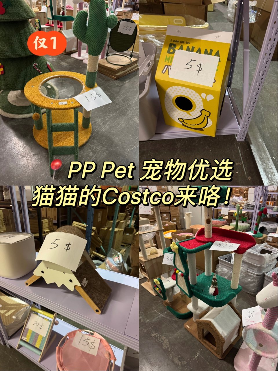 PP Pet🐱简直不要太便宜！个位数猫抓...