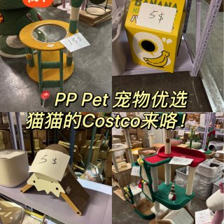 PP Pet🐱简直不要太便宜！个位数猫抓...