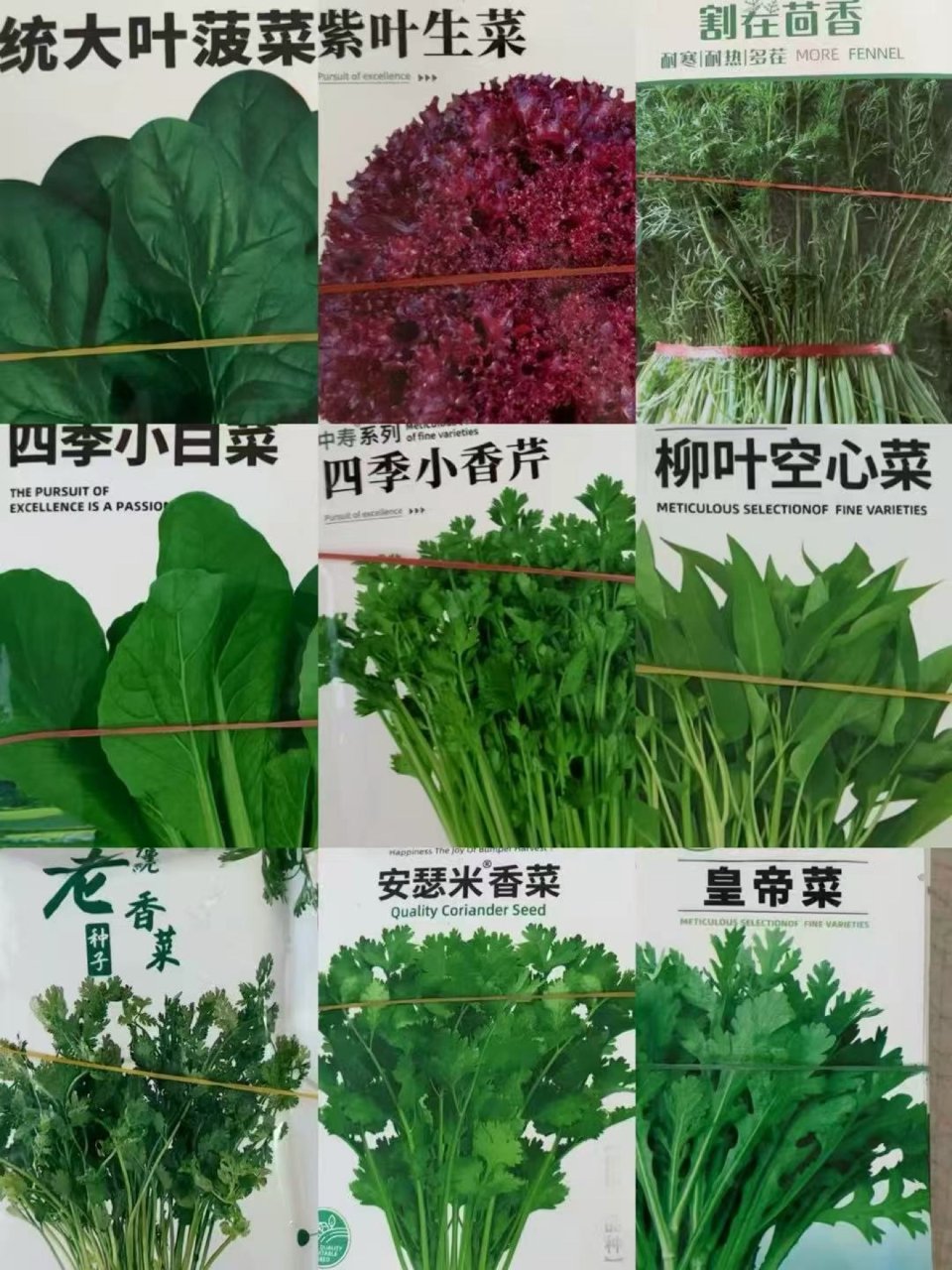 花草果蔬，种子树苗...