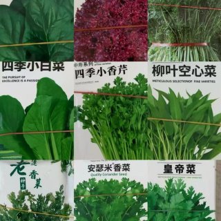 花草果蔬，种子树苗...