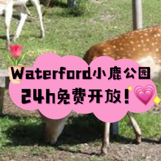 🦌 Waterford鹿园24小时免费🆓...