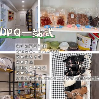 温哥华免费领养狗狗🐶❗️寄养天花板每天$...