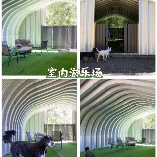 温哥华免费领养狗狗🐶❗️寄养天花板每天$...
