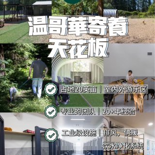 温哥华免费领养狗狗🐶❗️寄养天花板每天$...