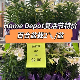 Home Depot💡复活节特价百合2🔪...