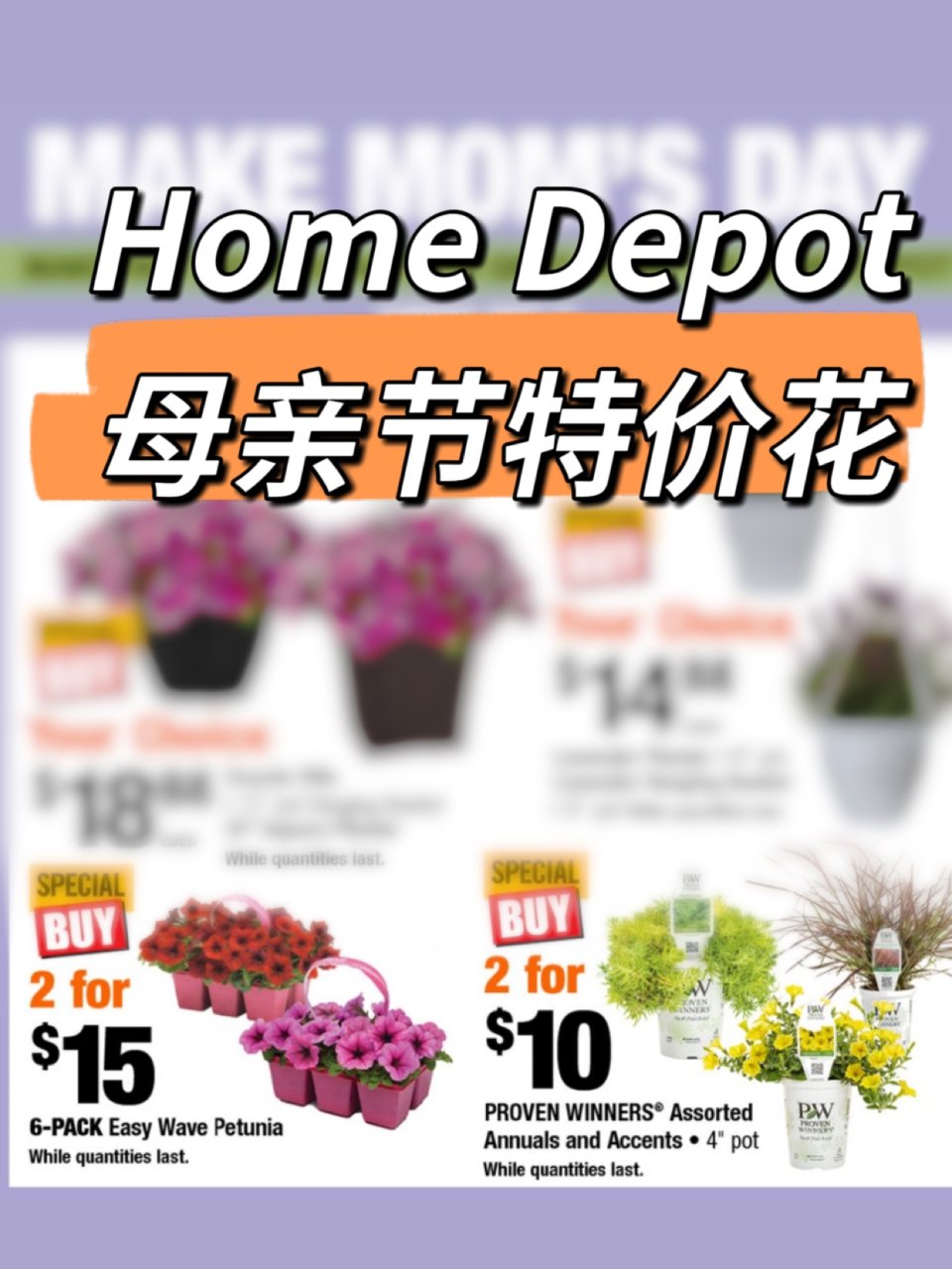 Home Depot母亲节💐🉑️驱赶蚊虫...