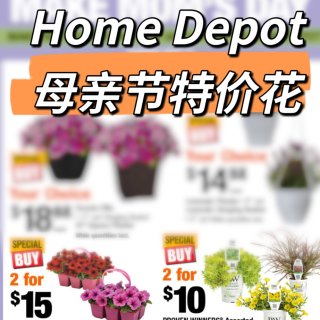 Home Depot母亲节💐🉑️驱赶蚊虫...