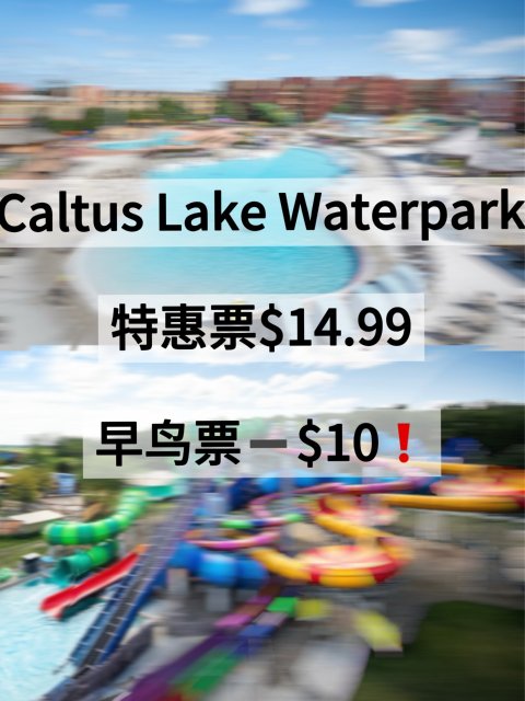Caltus Lake Waterpark大小朋友都适合玩的水上项目❗️票价$14.99❗️