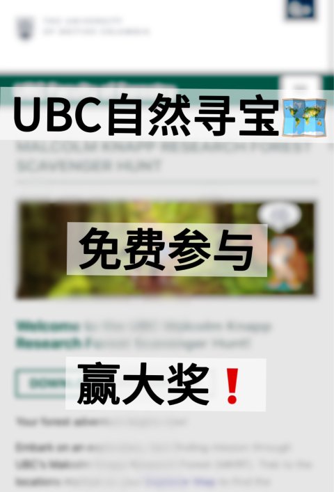 UBC森林寻宝🗺️！免费参与赢大奖❗️超好玩