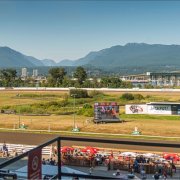 Hastings Racecourse & Casino